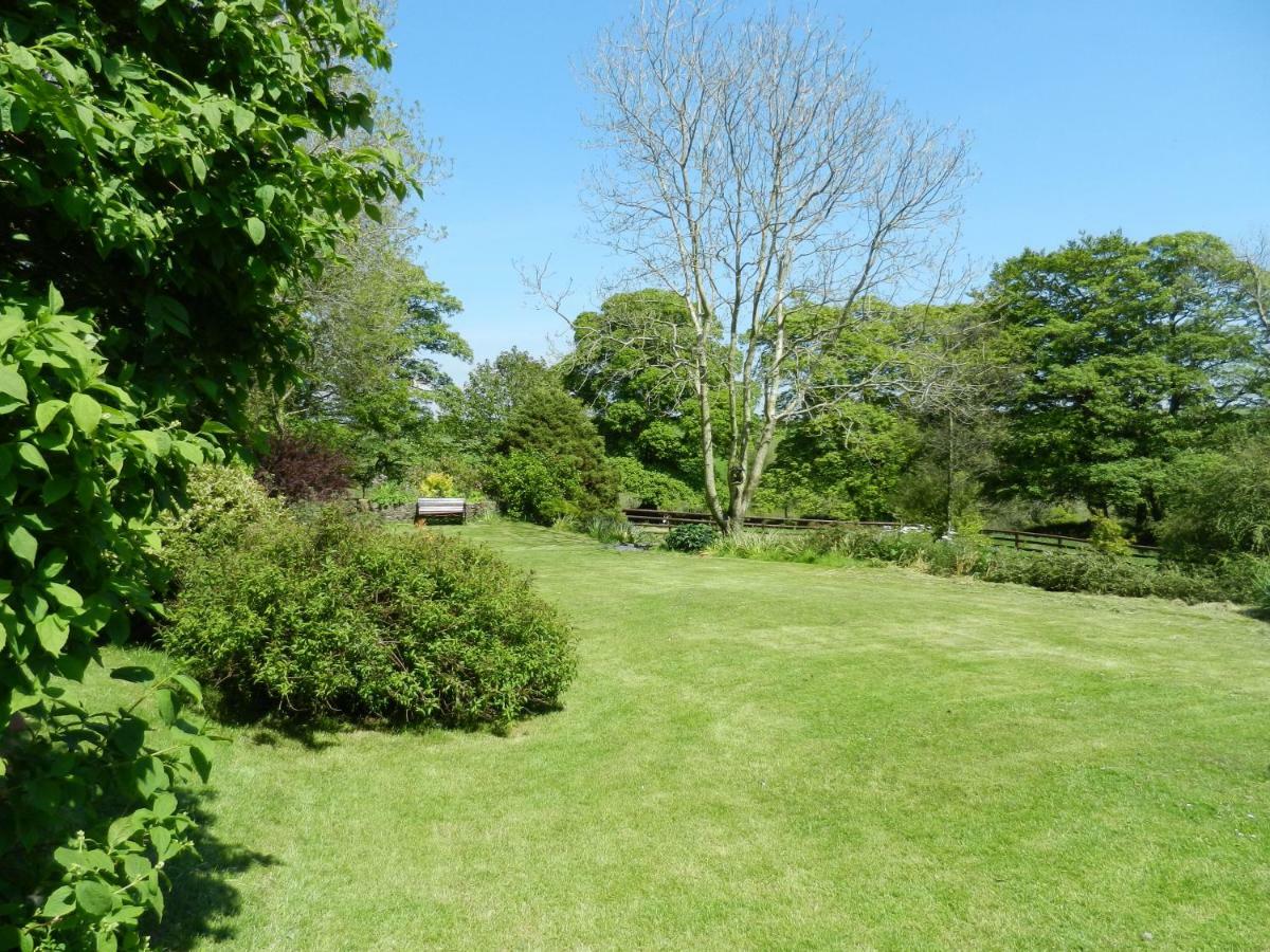 Cilwen Country House Bed And Breakfast Abernant Exterior photo