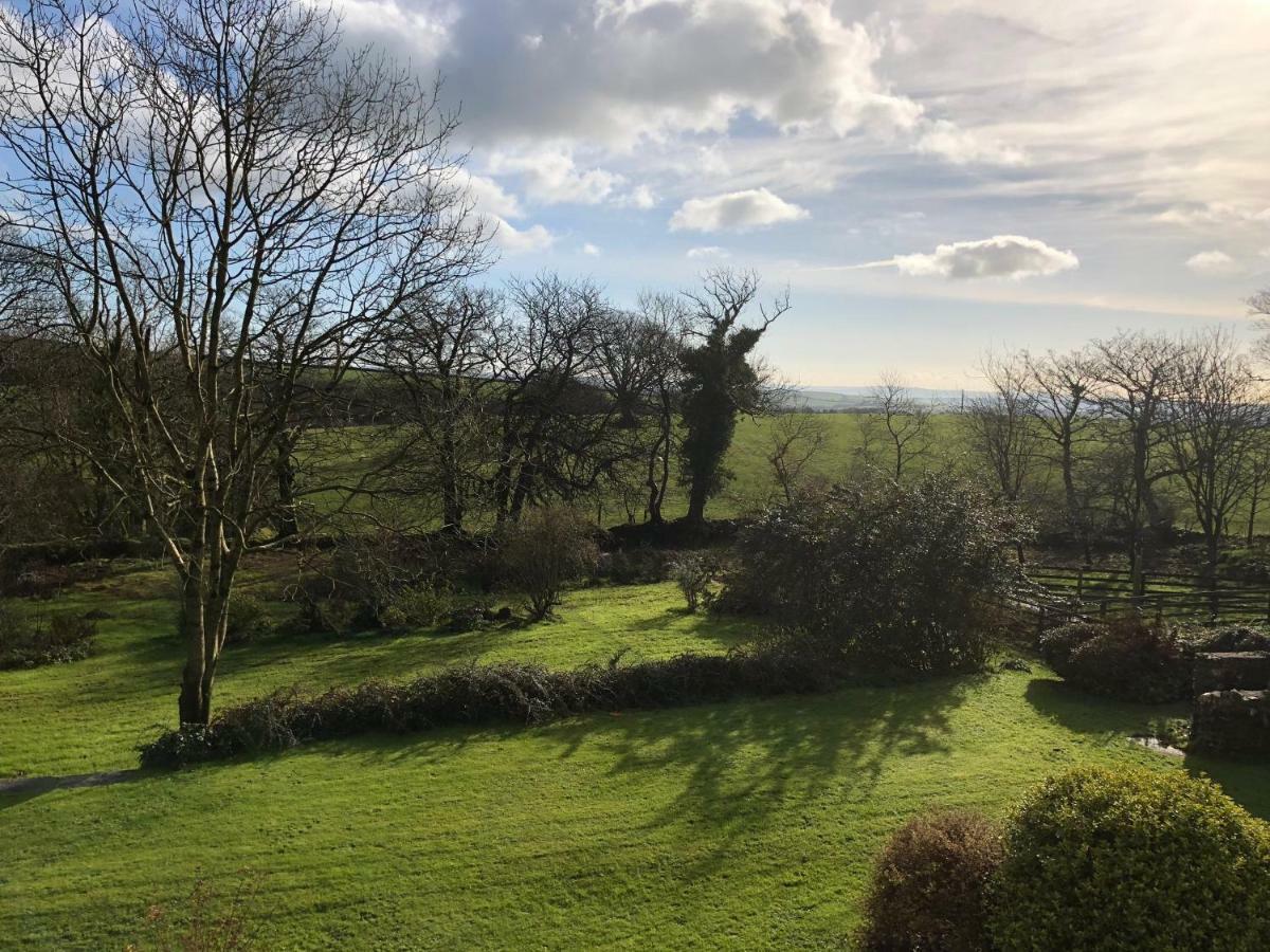 Cilwen Country House Bed And Breakfast Abernant Exterior photo